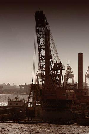 2025年版：デジタル温度調節器の選び方と最新おすすめモデル完全ガイド